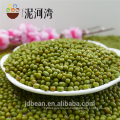 top quality Green Mung Beans sprouts/gernimation price